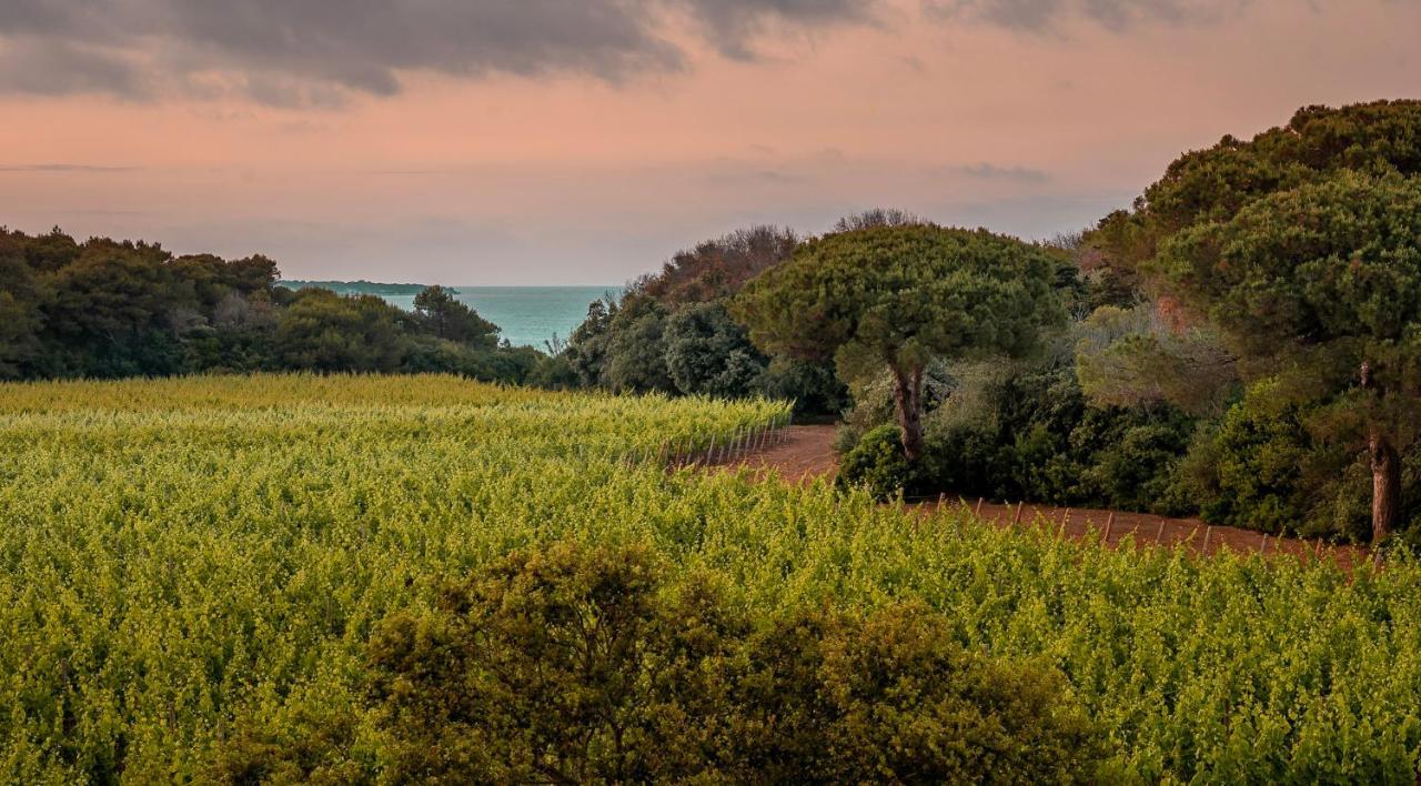 Masseria Mongio Dell'Elefante Otranto Zewnętrze zdjęcie