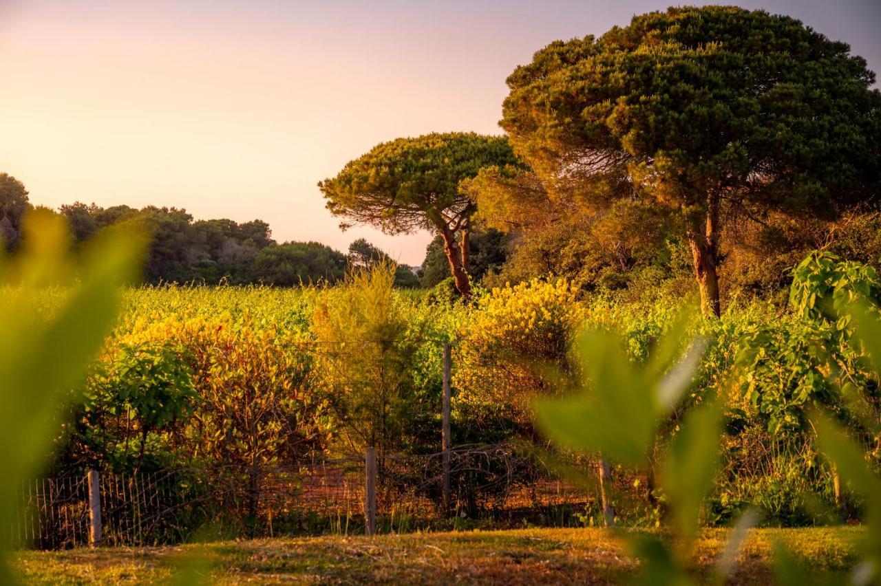 Masseria Mongio Dell'Elefante Otranto Zewnętrze zdjęcie