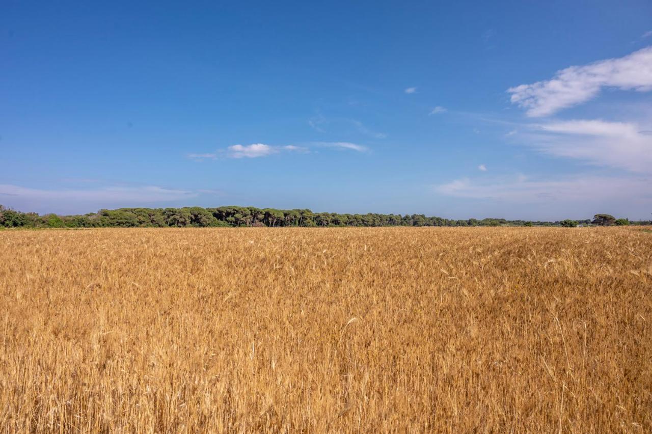 Masseria Mongio Dell'Elefante Otranto Zewnętrze zdjęcie