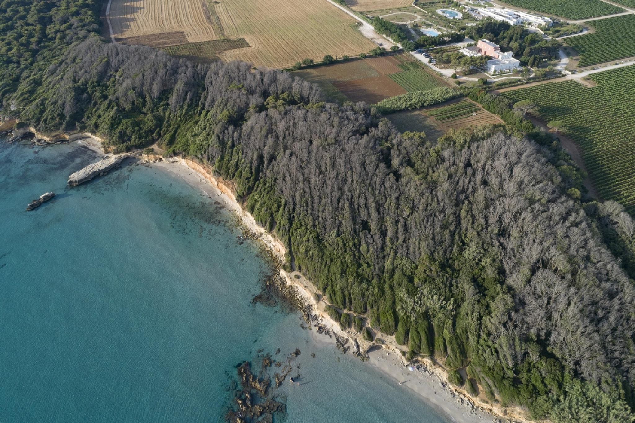Masseria Mongio Dell'Elefante Otranto Zewnętrze zdjęcie