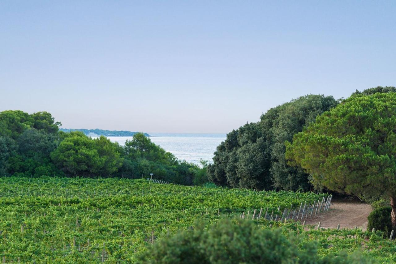 Masseria Mongio Dell'Elefante Otranto Zewnętrze zdjęcie